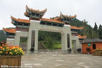 出国旅游四